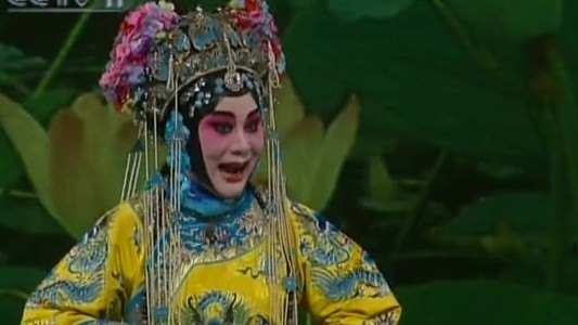 央视《九州大戏台》京剧《盗令》选段(鞠小苏饰萧太后)