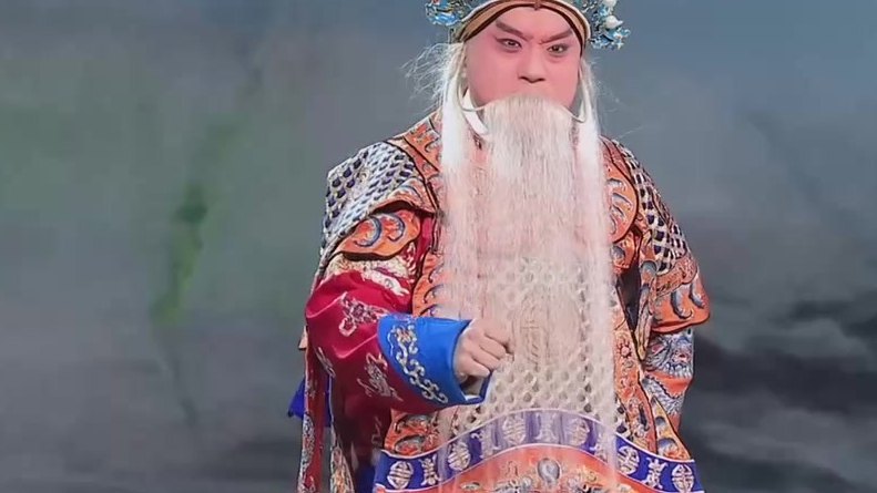 京剧《李陵碑》录像截帧：杨继业侧身做戏（表演：万琳）